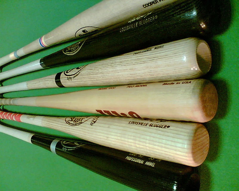 Wilson Senior Starts Baseball Bat Company