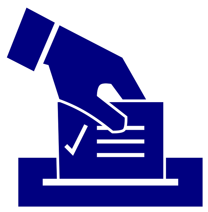 Voting ballot