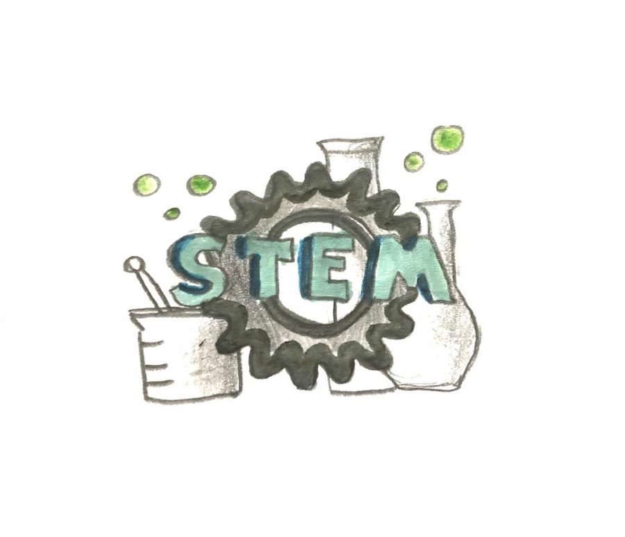 Students combat lack of diversity in STEM classes